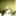 theintendedparadox.wordpress.com