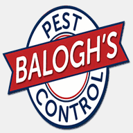 baloghpestcontrol.com