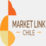 marketlinkchile.com