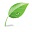 neosoft.su