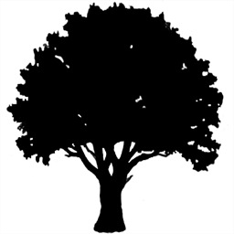 setreeservice.com