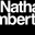 nathanlambert.net