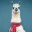 llamapost.com