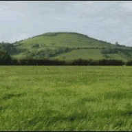 blackchokerjewelry.com