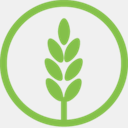 neolifeblog.uk
