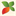 ecomarbelize.org