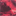 nghtswts.bandcamp.com