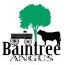 baintreeangus.com