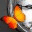 mulherdefe.wordpress.com