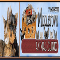 middletownanimalclinic.com