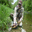 bailfly.over-blog.com