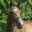 iloapp.helleroth.dk