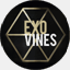 exohub.co.vu