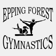 eppingforestgymclub.com