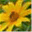 xn--72c0bwa1bncd4mqcb.com