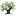 sephardicacademy.org