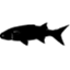mauifishpond.com