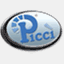 piccisrl.it