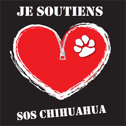 boutique-soschihuahua.com