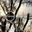 danamassive.bandcamp.com