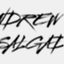 andrewsalgado.net