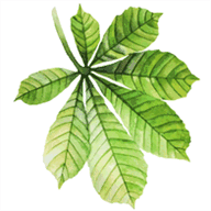 gebinwangchang.net