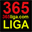 365liga.com