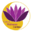 mylwc.com