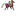 horseridingturkey.net