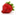 strawberryplants.understandwebsites.com