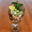 cocteldecamarones.com