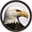 birdseyefinancial.weebly.com