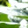 soleilclair.wordpress.com