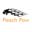 peachpaw.com