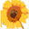 fuxinxian.agri.com.cn