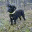 maggan.info