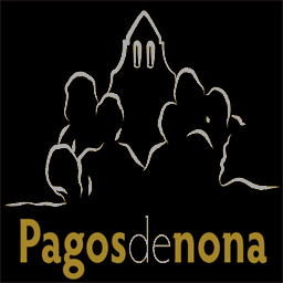 pagosdenona.com