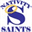 nativitybvm.org