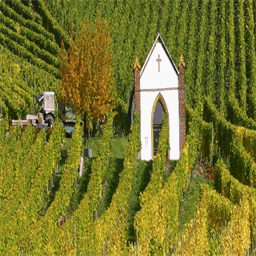 weingut-heinrichshof.de