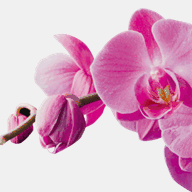 beautyskin-cosmetics.ch