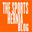 sportsherniablog.com
