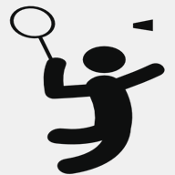 flyingdragonbadminton.com