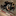panicensemble.bandcamp.com