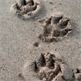 oceansidetriallawyers.com