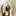 lensonleeuwenhoek.net