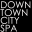 downtowncityspa.com