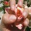 nailybunny.over-blog.com