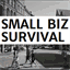 smallbizsurvival.com