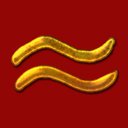 aquarius-astrology.co.uk