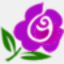 classydrumrightfloral.com